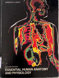 Essential Human Anatomy and Physiology