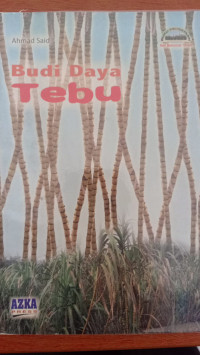 Budi daya tebu