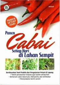 Panen Cabai Setiap Hari Di Lahan Sempit