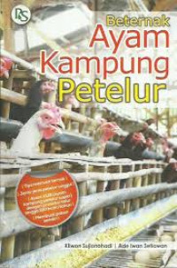 Beternak Ayam Kampung Petelur